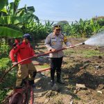 Hadapi Kemarau, Polres Pelabuhan Tanjungperak Siram Lahan Jagung Ketahanan Pangan Hadapi Kemarau, Polres Pelabuhan Tanjungperak Siram Lahan Jagung Ketahanan Pangan