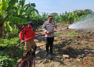 Hadapi Kemarau, Polres Pelabuhan Tanjungperak Siram Lahan Jagung Ketahanan Pangan