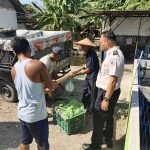 Panen Ikan Lele di Lahan SAE Lapas Kelas IIB Pati Wujud Keberhasilan Program Pembinaan Kemandirian