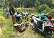 Menerima Informasi dari Masyarakat, Arena Judi Sabung Ayam di Katibung Digerebek Polisi
