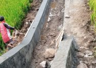 Rehabilitasi Irigasi Dusun Mojo Lampaui Jadwal, Kades Ingatkan Jangan Abai Kualitas