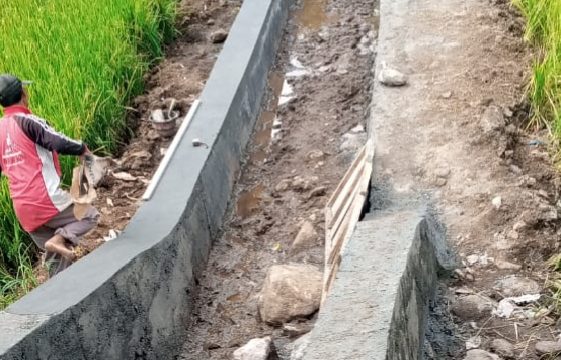 Rehabilitasi Irigasi Dusun Mojo Lampaui Jadwal, Kades Ingatkan Jangan Abai Kualitas