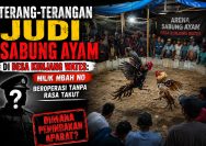 ‎Terang-Terangan Judi Sabung Ayam di Desa Kunjang Wates: Milik Mbah No, Beroperasi Tanpa Rasa Takut — Dimana Penindakan Aparat?