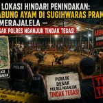 ‎Pindah Lokasi Hindari Penindakan: Judi Sabung Ayam di Sugihwaras Prambon Tetap Merajalela — Publik Desak Polres Nganjuk Tindak Tegas!