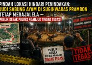 ‎Pindah Lokasi Hindari Penindakan: Judi Sabung Ayam di Sugihwaras Prambon Tetap Merajalela — Publik Desak Polres Nganjuk Tindak Tegas!