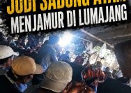 ‎Dari Kecamatan Randuagung, Klakah, Tempeh, Sukodono: Judi Sabung Ayam Menjamur di Lumajang
