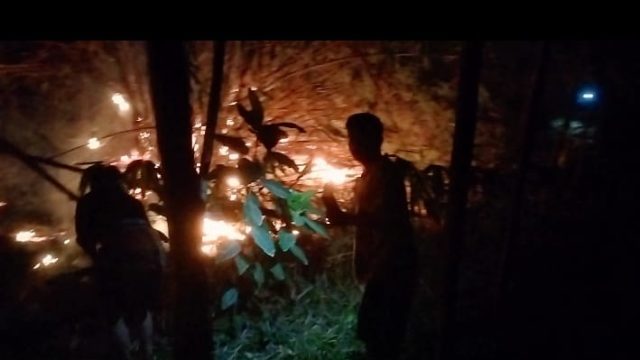 Kebakaran Rumpun Bambu di Dusun Pesantren Desa Janti Papar, Kejutkan Warga