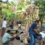 Polisi Gerebek Judi Sabung Ayam di Betung, 6 Motor dan 5 Ayam Diamankan Polisi Gerebek Judi Sabung Ayam di Betung, 6 Motor dan 5 Ayam Diamankan