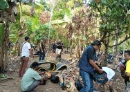 Polisi Gerebek Judi Sabung Ayam di Betung, 6 Motor dan 5 Ayam Diamankan