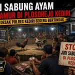 ‎Judi Sabung Ayam Menjamur di Plosorejo Kediri, Publik Desak Polres Kediri Segera Bertindak