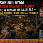 Judi Sabung Ayam Mendarah Daging di Kediri: Mbah No & Giman Merajalela — Polres Dinilai Lemah, Desak Polda Jatim Turun! Judi Sabung Ayam Mendarah Daging di Kediri: Mbah No & Giman Merajalela — Polres Dinilai Lemah, Desak Polda Jatim Turun!