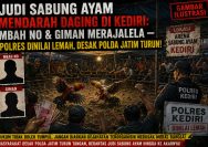 ‎Judi Sabung Ayam Mendarah Daging di Kediri: Mbah No & Giman Merajalela — Polres Dinilai Lemah, Desak Polda Jatim Turun!