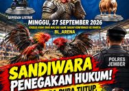 ‎Sandiwara Penegakan Hukum! BL Arena Pura-Pura Tutup, APH Tak Ambil Tindakan - Pengelola Eko Tetap Bebas, Dimana Aparat Penegak Hukum?!