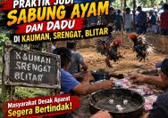 ‎Judi Sabung Ayam & Dadu Beroperasi Terang-Terangan di Blitar — Kanit Pidum Belum Menjawab, Polres Blitar Kota Dinilai Diam!