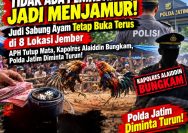 ‎TIDAK ADA PENINDAKAN, JADI MENJAMUR! Judi Sabung Ayam Tetap Buka Terus di 8 Lokasi Jember — APH Tutup Mata, Kapolres Alaiddin Bungkam, Polda Jatim Diminta Turun!