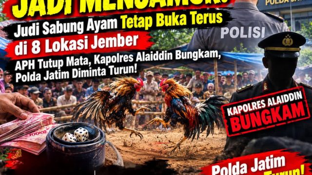 ‎TIDAK ADA PENINDAKAN, JADI MENJAMUR! Judi Sabung Ayam Tetap Buka Terus di 8 Lokasi Jember — APH Tutup Mata, Kapolres Alaiddin Bungkam, Polda Jatim Diminta Turun!