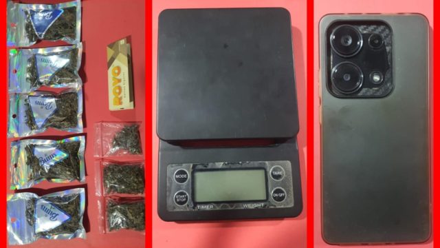 Polres Pelabuhan Tanjung Perak Ungkap Peredaran Ganja di Medos, Tersangka Pengedar Diamankan