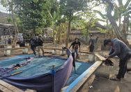 Respons Cepat Aduan Warga, Polres Nganjuk Bongkar Dua Lokasi Sabung Ayam