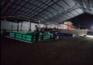 Penggerebekan Judi Dadu Cap Jicki dan Sabung Ayam di Desa Kali Pecabean (Mempreng) Oleh Pihak Aparat Penegak Hukum (APH) Polsek Candi Hanya Formalitas Saja Bak Sinetron di televisi.