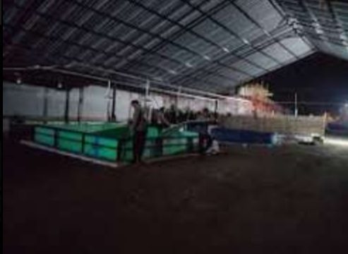 Penggerebekan Judi Dadu Cap Jicki dan Sabung Ayam di Desa Kali Pecabean (Mempreng) Oleh Pihak Aparat Penegak Hukum (APH) Polsek Candi Hanya Formalitas Saja Bak Sinetron di televisi.