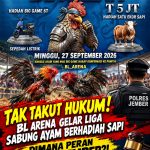 Tak Takut Hukum! BL Arena Gelar Liga Sabung Ayam Berhadiah Sapi — Dimana Peran Polres Jember?! Tak Takut Hukum! BL Arena Gelar Liga Sabung Ayam Berhadiah Sapi — Dimana Peran Polres Jember?!