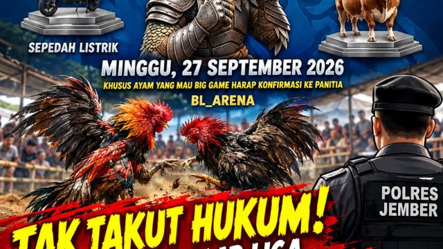 ‎Tak Takut Hukum! BL Arena Gelar Liga Sabung Ayam Berhadiah Sapi — Dimana Peran Polres Jember?!