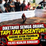 ‎Diketahui Semua Orang, Tapi Tak Disentuh! Sabung Ayam Prambon Langgar Hukum — Polres Nganjuk Bungkam!