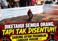 ‎Diketahui Semua Orang, Tapi Tak Disentuh! Sabung Ayam Prambon Langgar Hukum — Polres Nganjuk Bungkam!