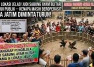 ‎NAMA & LOKASI JELAS! Judi Sabung Ayam di Blitar Diketahui Publik — Kenapa Masih Beroperasi? Polda Jatim Diminta Turun!