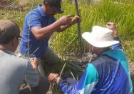 Penanaman 15 Pohon Pule di Balonggabus, Pemdes Dorong Kepedulian dan Kelestarian Lingkungan